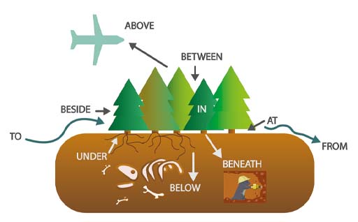 An image showing the words on, beside, under, below, beneath, at, from, to, etc. in relation to a patch of trees in the centre of the picture.