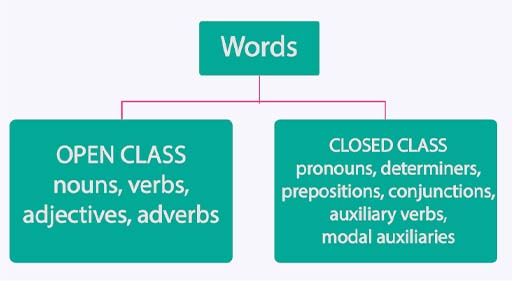 A tree diagram showing lists of open class words (nouns, verbs, adjectives, adverbs) and closed class words (pronouns, determiners, prepositions, conjunctions, auxiliary verbs, modal auxiliaries).