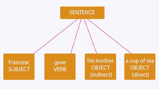 A tree diagram showing the components of a sentence with two objects. The word ‘Sentence’ is at the top of the diagram with four lines branching out from beneath it. The first line goes to the subject (Francesc), the second line goes to the verb (gave), the third goes to one object (his mother), and the fourth goes to another object (a cup of tea).