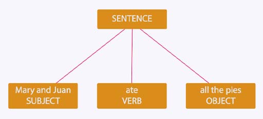 A tree diagram showing the components of a simple sentence. The word ‘Sentence’ is at the top of the diagram with three lines branching out from beneath it. The first line goes to the subject (Mary and Juan), the second line goes to the verb (ate), and the third line goes to the object (all the pies).