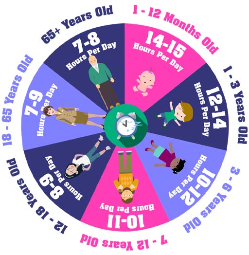 An illustration of a circle with different segments displaying different age categories and how much sleep is recommended.