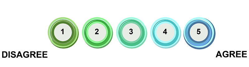 A scale ranging from 1 Disagree to 5 Agree.