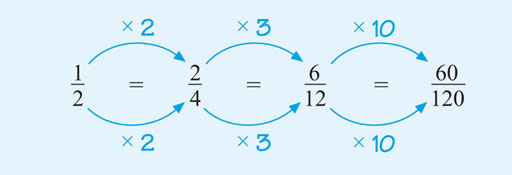 Relationship between 4 equivalent fractions. Full description in Long description link below image.