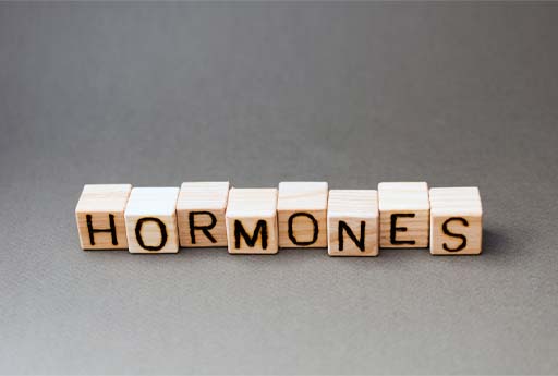 The image shows eight wooden blocks lined up, each with one letter on them. The letters spell the word ‘hormones’.