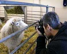 Man taking photo of Dolly