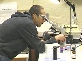 Sample being analysed under microscope
