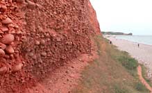 The cliffs at Buddleigh Salterton