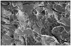 Brittle fracture of 0.4% carbon steel (courtesy of Dr J D Painter, Cranfield University)