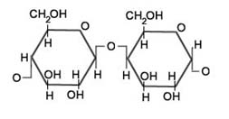 Cellulose Molecule