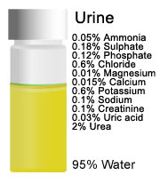 Breakdown of Urine 95% water
