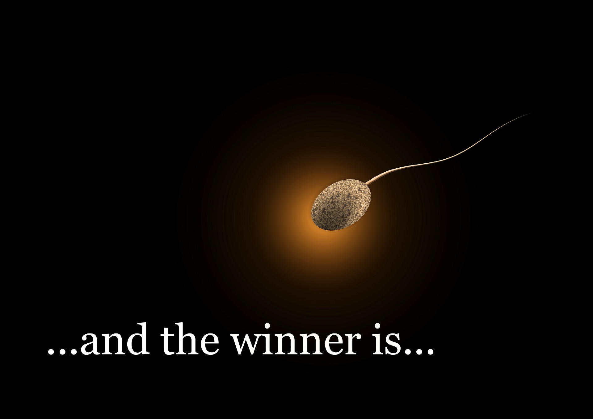 Illustration of the winning sperm making its way to the egg