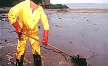 When the economy and ecology collide: Clearing up after an oil spill in Milford Haven