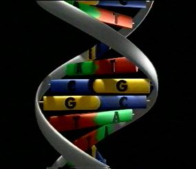 Strand of DNA