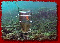 Rough Science underwater torch