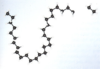 A ball and stick model of a wax-like hydrocarbon