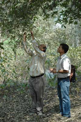Dr Rakesh Mehrotra and PhD student Gaurav Srivastava collecting a CLAMP sample in Kukrail Forest.