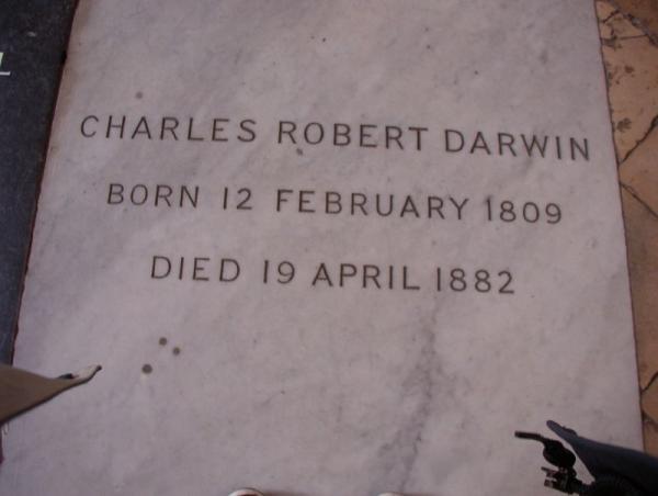 Darwin's memorial in Westminster Abbet