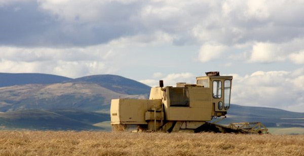 Harvesting cereals in the Cheviots