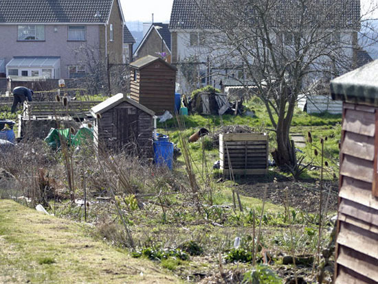 The Allotments, Nicholas Lane, Bristol