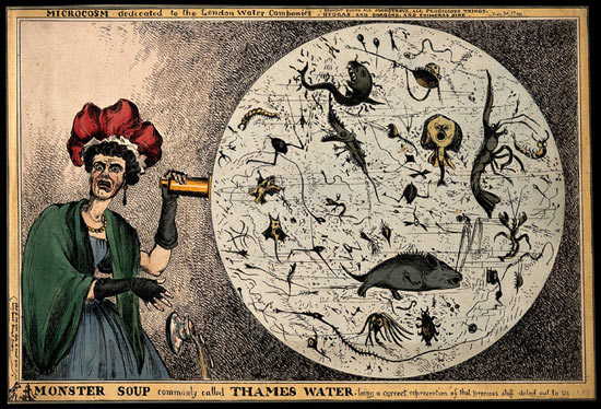A Monster Soup commonly called Thames Water - Coloured etching by William Heath, London, 1828