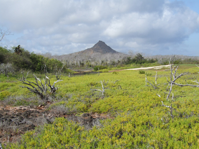 General view of the Galapagos