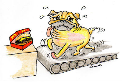 A dog on a treadmill is tempted by a Big Mac he can never reach