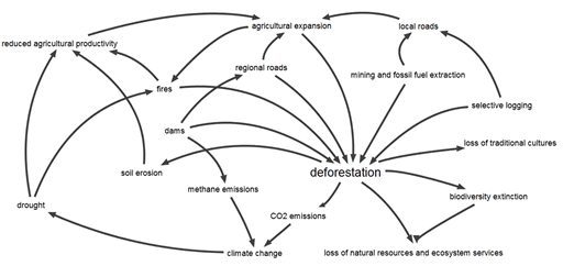 Diagram showing the interaction between the direct threats contributing to the Amazon’s ecological and cultural degradation, with deforestation at the centre of the web.