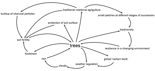 Diagram depicting the interdependencies of the natural resources in the Amazon,with trees at the centre of the web.