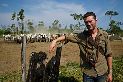 Charlie Hamilton James with cattles