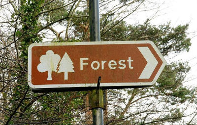 Tourist attraction sign pointing to a forest