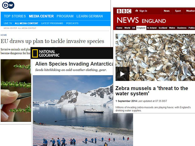 Invasive species headlines