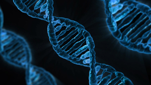 CGI of double helix DNA
