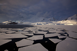 Broken polar ice floes floating on the sea in Antarctica