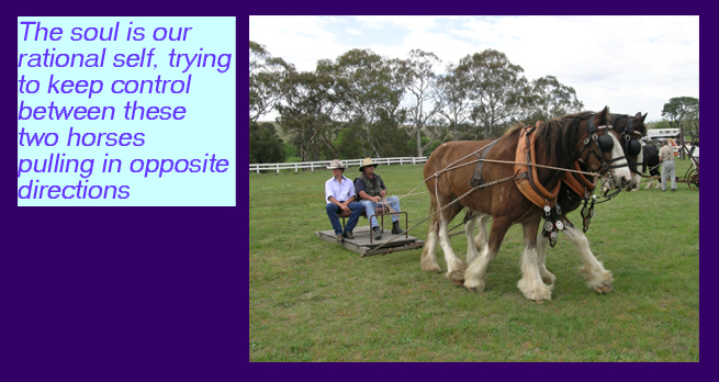 The soul is our rational self, trying to keep control between these two horses pulling in opposite directions