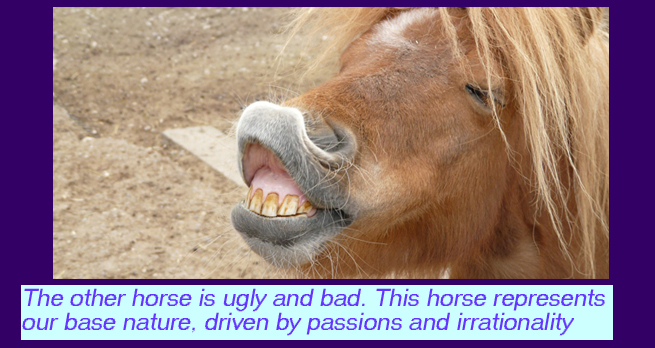 The other horse is ugly and bad. This horse represents our base nature, driven by passions and irrationality.