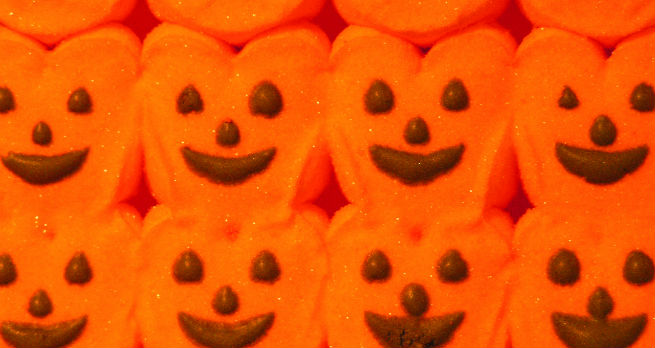 A slightly alarming collection of pumpkin coloured marshmallow Peeps