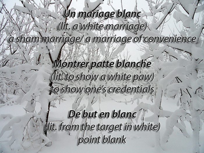 Image of snow with French idioms concerning the colour white written across the image