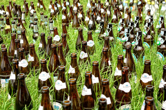 Beer bottles in a field