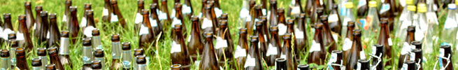 Beer bottles in a field