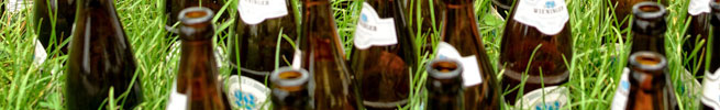 Beer bottles in a field