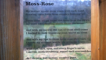 A sign post way marker along the Laurie Lee walk, Slad valley, with words from Moss-Rose on a transparent plaque with countryside behind it