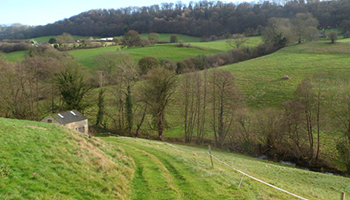 A countryside path in Gloucestershire. Opposite a track ascending from Slad Road to Wade's Farm, this track descends from Slad Road towards Slad Brook. The building and line of trees are at the edge of Slad Brook