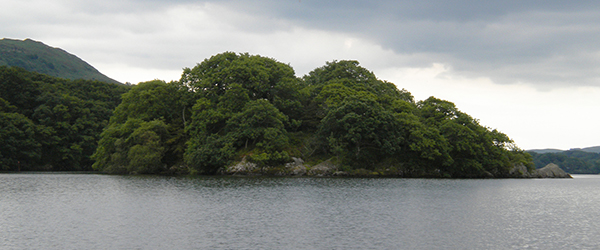 Wildcat island, Coniston Lake, Lake District