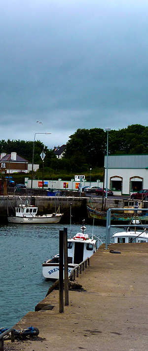 The image shows Killala Harbour with boat in the water on the left side and the promenade and walkway around the right side and across the back of the picture. There are two houses overlooking the promenade at the back of the picture, with dark green leafed trees behind them. The sky has heavy grey clouds.