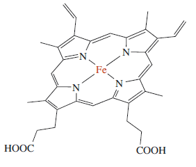 The chemical structure of an iron porphyrin