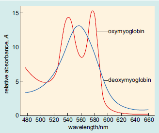 Visible spectra of oxymyoglobin and deoxymyoglobin.