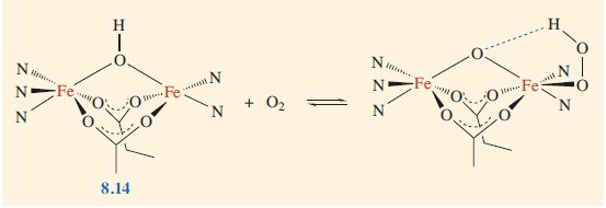 Binding of O2 to haemerythrin 
