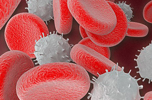 computer graphic of red and white blood cells