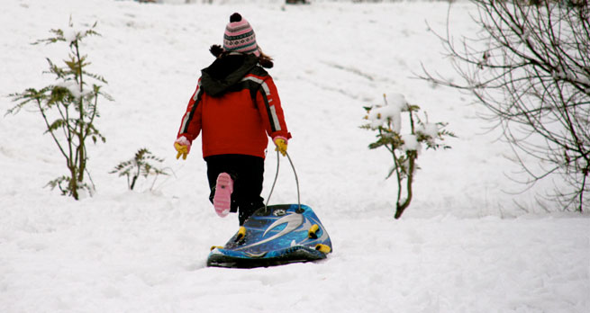 A small child pulls a sledge