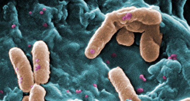 How are scientists testing for the growth of antibiotic resistance?